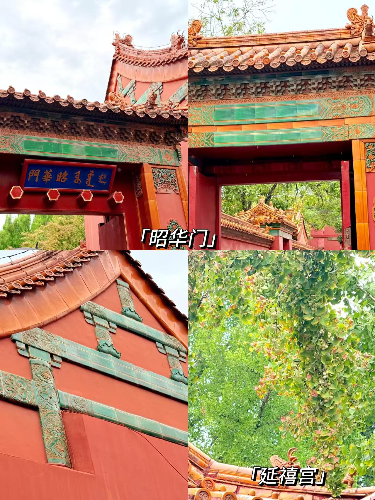 36d6193c2e812de7622f8cb9a71e7cf2
